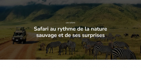 https://www.les-safaris.com